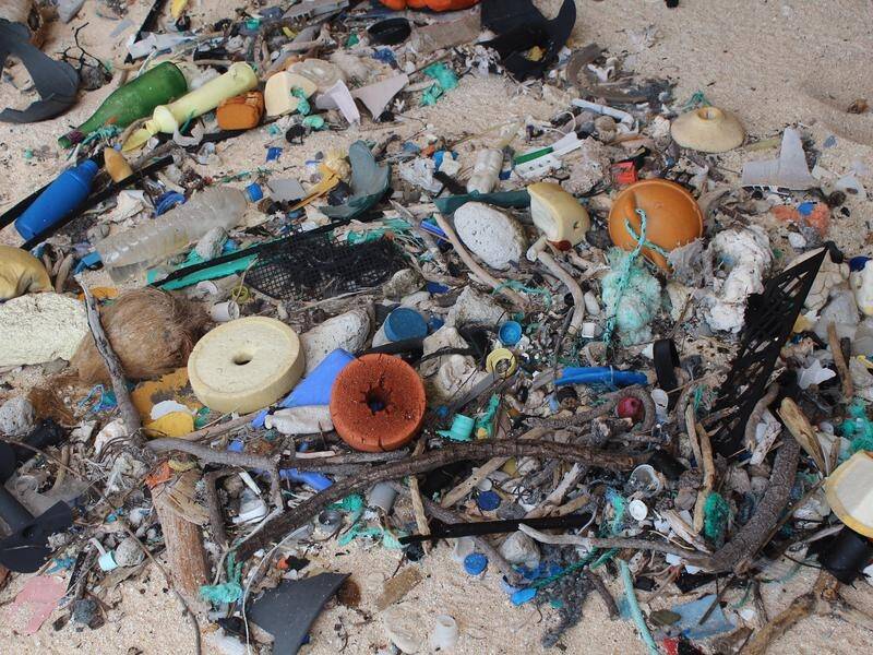 There is on average 29 per cent less plastic on Australian beaches than in 2013, research shows.