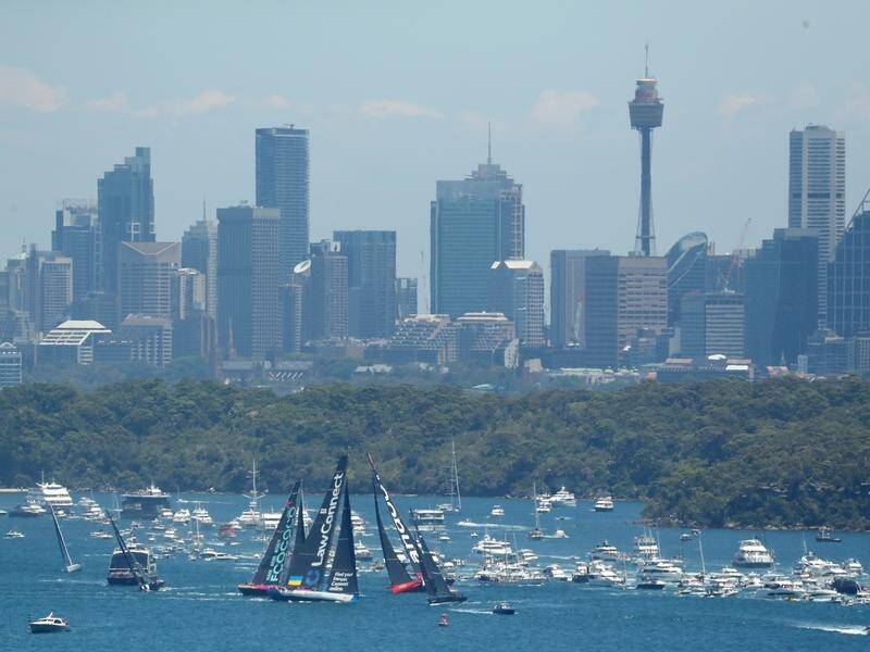 Wild Thing will be on the start line as the Sydney to Hobart race gets under way on Boxing Day. (Jeremy Ng/AAP PHOTOS)