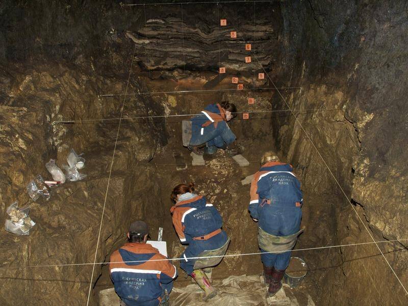 Researchers excavate a cave for Denisovan fossils in the Altai Krai area of Russia. (file photo)