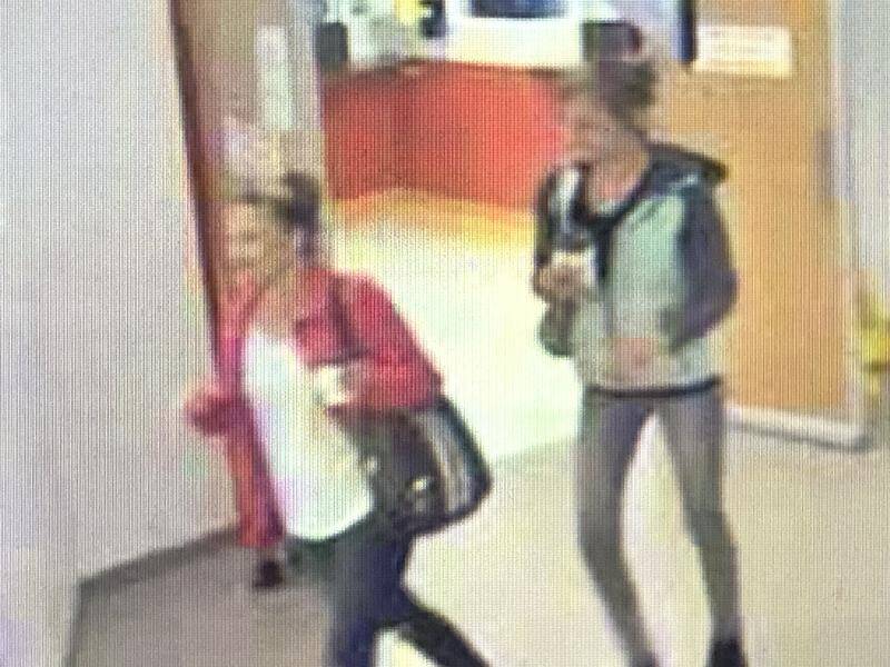 Tasmanian police want to speak to two women about the theft of hand sanitiser from a hospital.