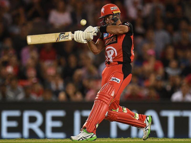 Daniel Christian helped the Renegades time their chase to perfection to advance to the BBL final.
