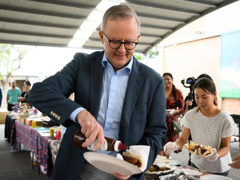 Anthony Albanese is on the hustings to help ensure it's time for a change of government in NSW. (James Gourley/AAP PHOTOS)