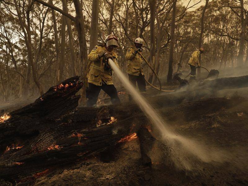 Increased bushfire risk is forecast in parts of the Northern Territory and northern South Australia. (Sean Davey/AAP PHOTOS)
