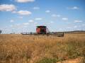 PFAS chemicals are present in biosolids which are spread on Australia's farmlands as fertiliser. (Rebecca Bennett/AAP PHOTOS)