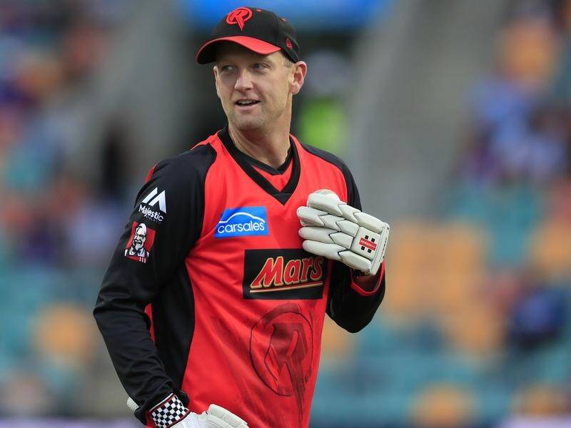 Melbourne Renegades' Cameron White hopes to target the newcomers in the Adelaide Strikers line-up.