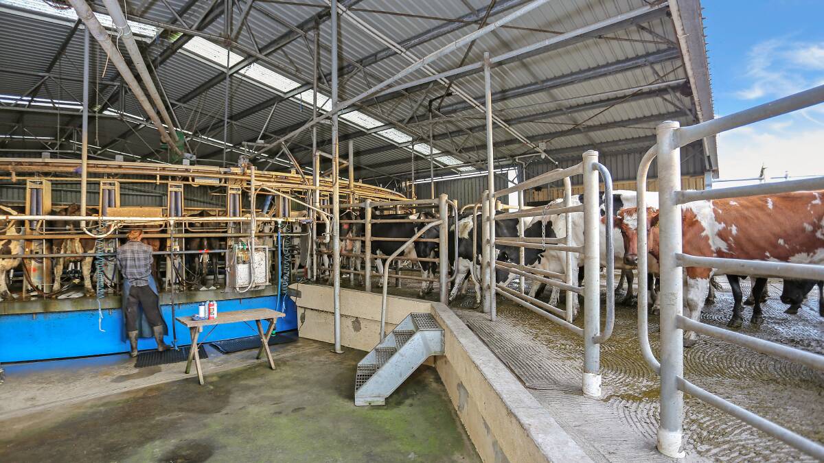 Chance to walk in to working dairy farm
