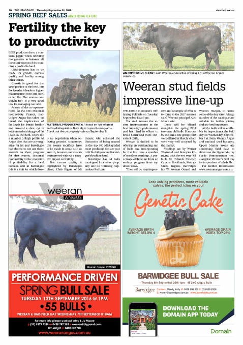 Spring beef sales | Feature