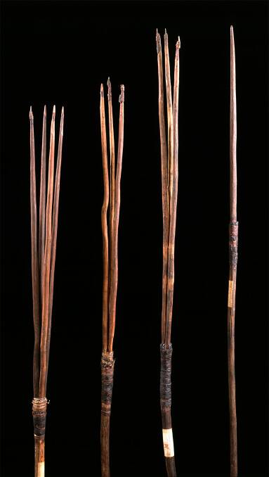 The four surviving spears in the MAA collection, MAA D 1914.1, D 1914.2, D 1914.3, D 1914.4. Picture Museum of Archaeology and Anthropology, University of Cambridge