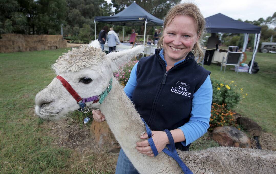 Isabel Renters, from the MDLXXX stud and 1580 Farmshop at Ecklin South, cuddles one of her animals during the week-long Australian Alpaca Week expo.  Picture: ROB GUNSTONE