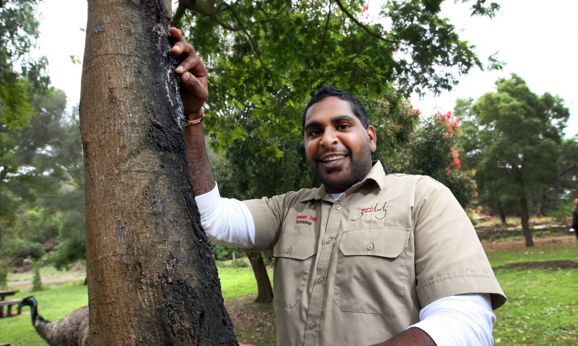Tower Hill indigenous tour guide Tyronne Grayson helps run the daily tours proving so popular with UK tourists. He’s standing at a wattle tree, the sap of which was traditionally used as glue.