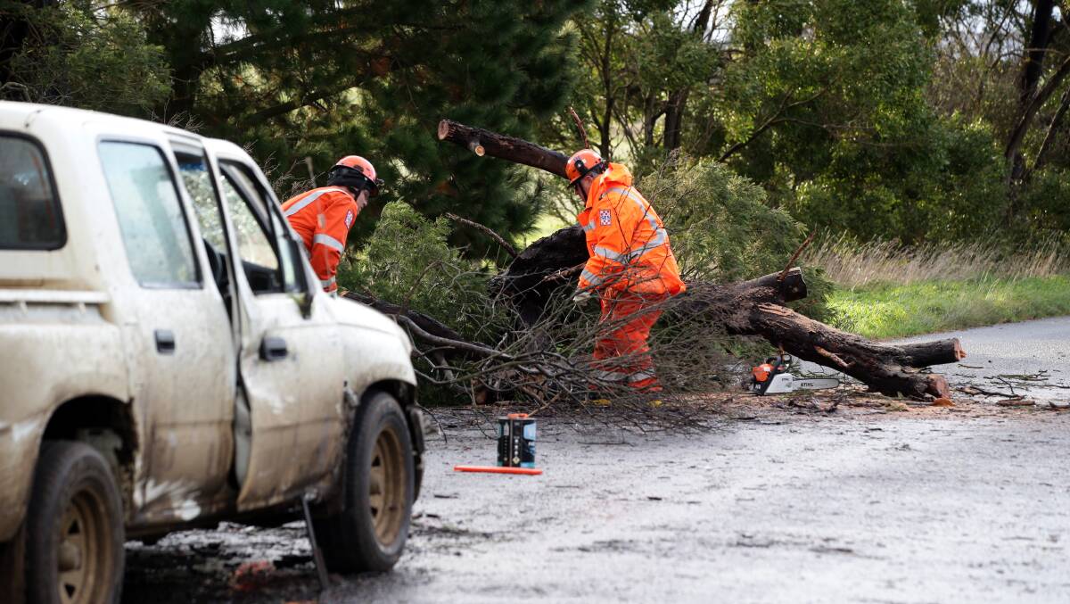 Port Fairy SES members finish cleaning up the accident site and remove the tree that had fallen onto the road. Three men were attempting to remove it from the road when the crash happened.