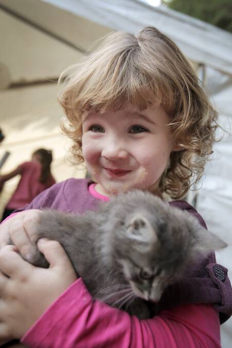 Annabelle Lenehan, 3 of Camperdown, with her new kitten, from the Heytsbury Show. 
