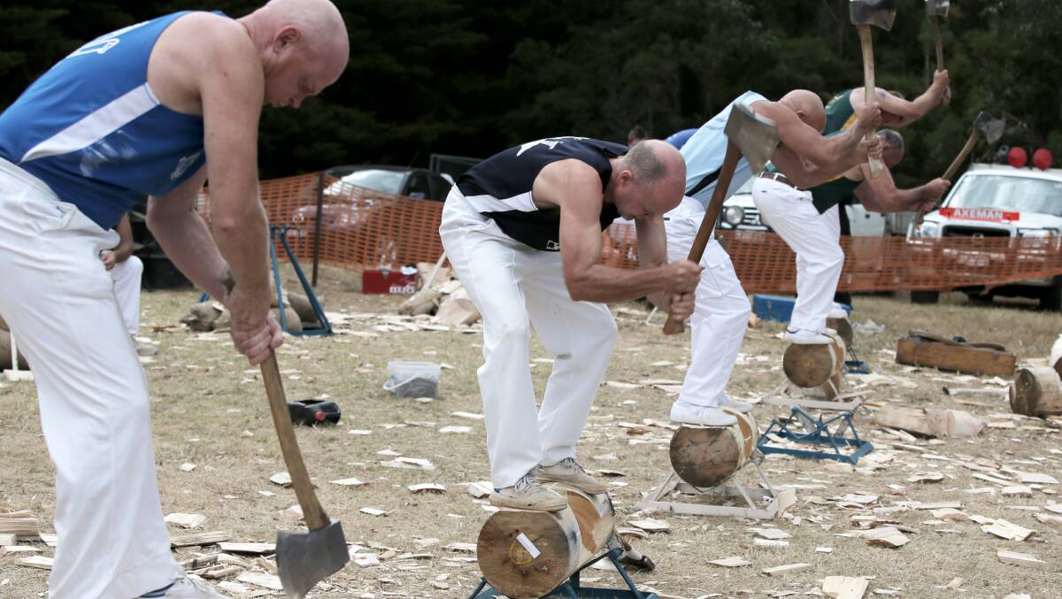 Competitors in the Open Underhand Woodchop get stuck into their blocks. 
