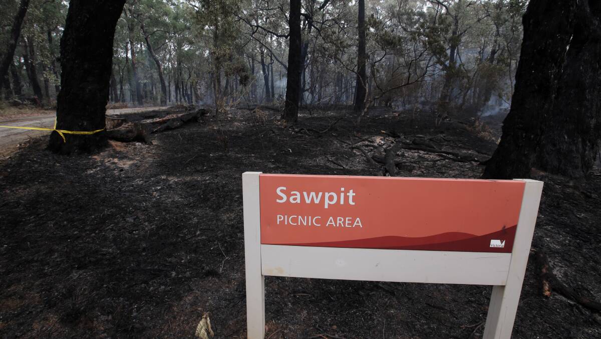 The Sawpit Picnic area and campground has been re-opened after it was burnt during April's Bushfire. Picture: ROB GUNSTONE