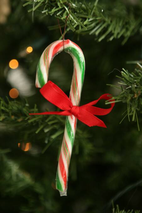 Servo's Christmas spirit delivers candy canes to hundreds 