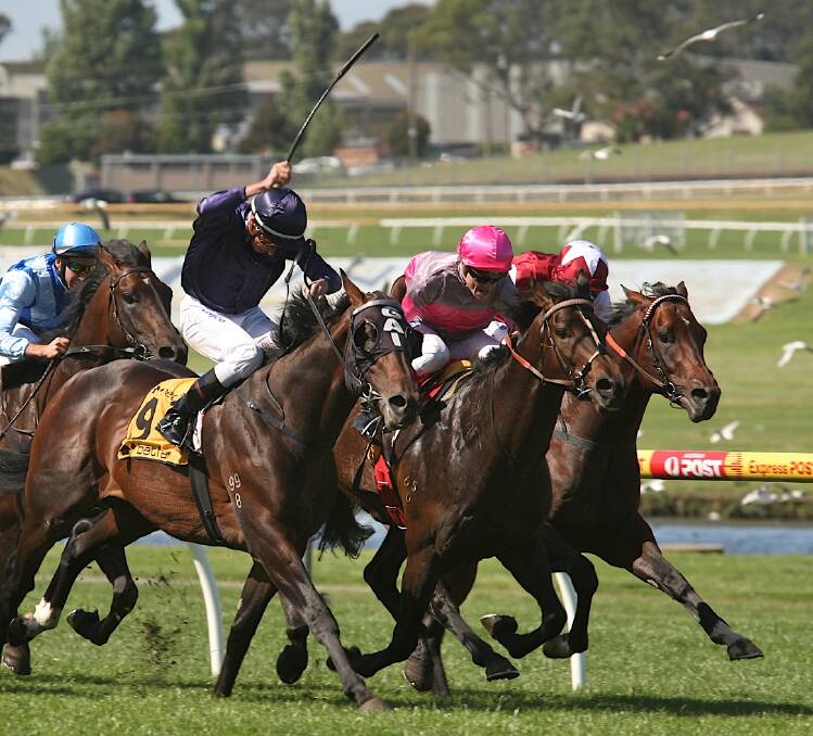 The Symon Wilde-trained galloper So Swift (centre) is returning to the track after battling injuries for more than two years. Picture: THE AGE