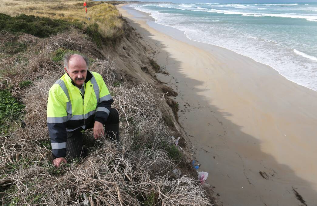 Moyne Shire Council director of sustainable development Oliver Moles examines exposed sand dunes at Port Fairy, where the fight to protect East Beach from erosion is about to step up. 150511RG27 Picture: ROB GUNSTONE