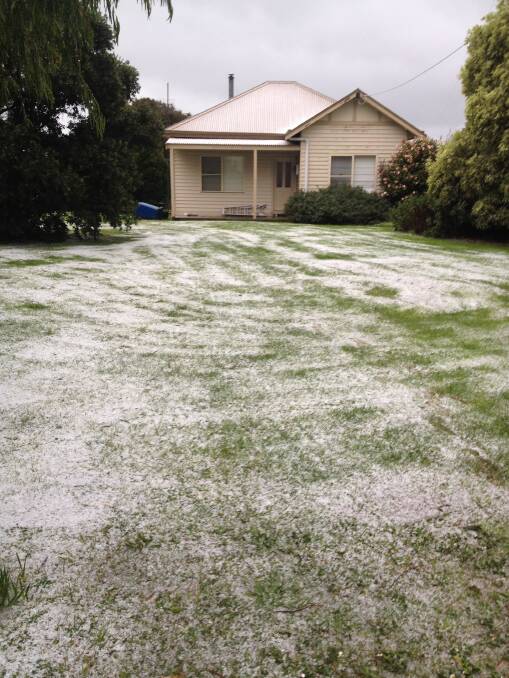 An Ayrford family sent in this picture of their front lawn after one of the many heavy hailstorms.