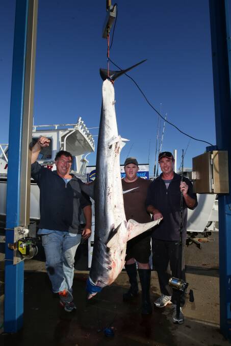 Warrnambool Offshore and Light Game Fishing Club members Stephen Rhook (left), Ashley Dance and Rohan Douglas with an 81.3kg Mako shark.