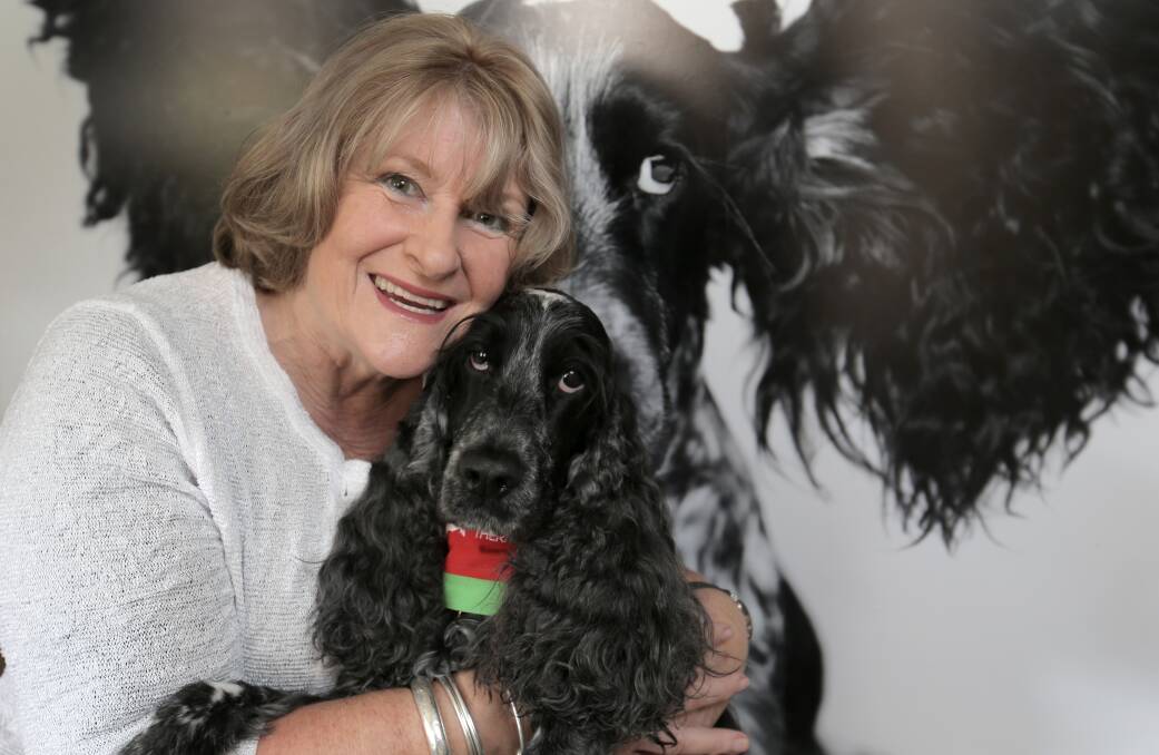 Eve Grant and her cocker spaniel therapy dog Crumpet have been visiting patients at South West Healthcare for two years. 
140514RG05 Picture: ROB GUNSTONE