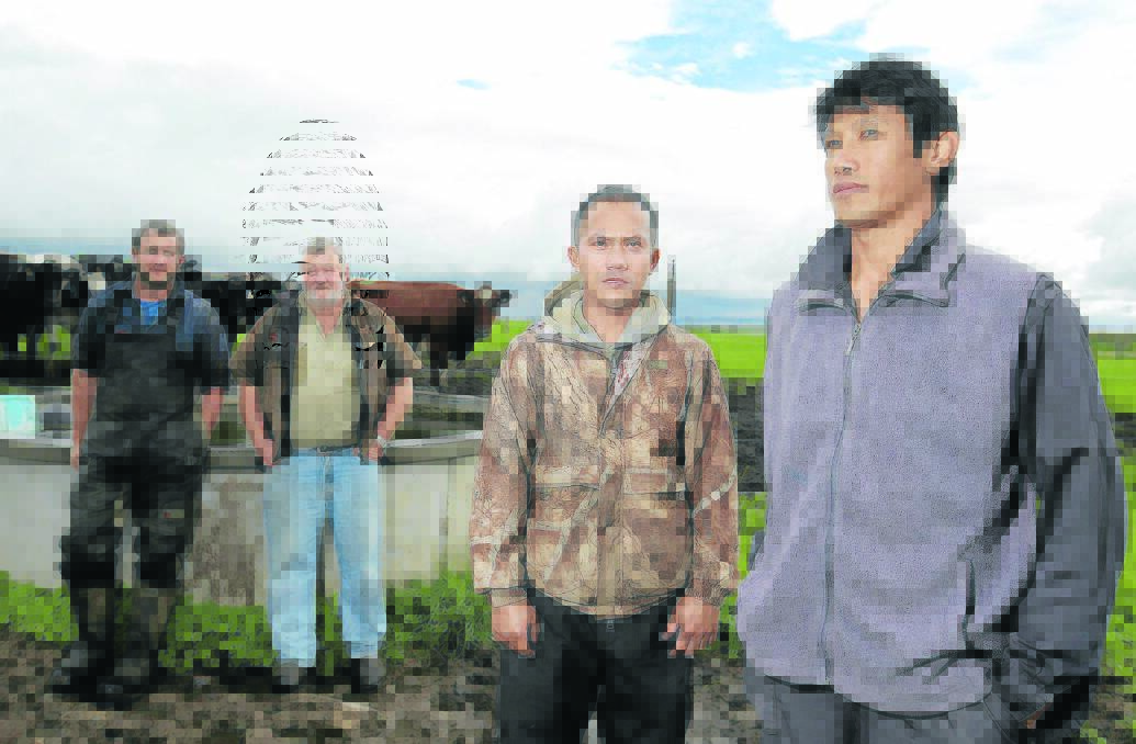 Tyrendarra dairy farmers Martin Knowles (left) and Bruce Knowles with Filipino Skilled Migration Program workers Lloyd Gragasin and Leo Caculitan. 
