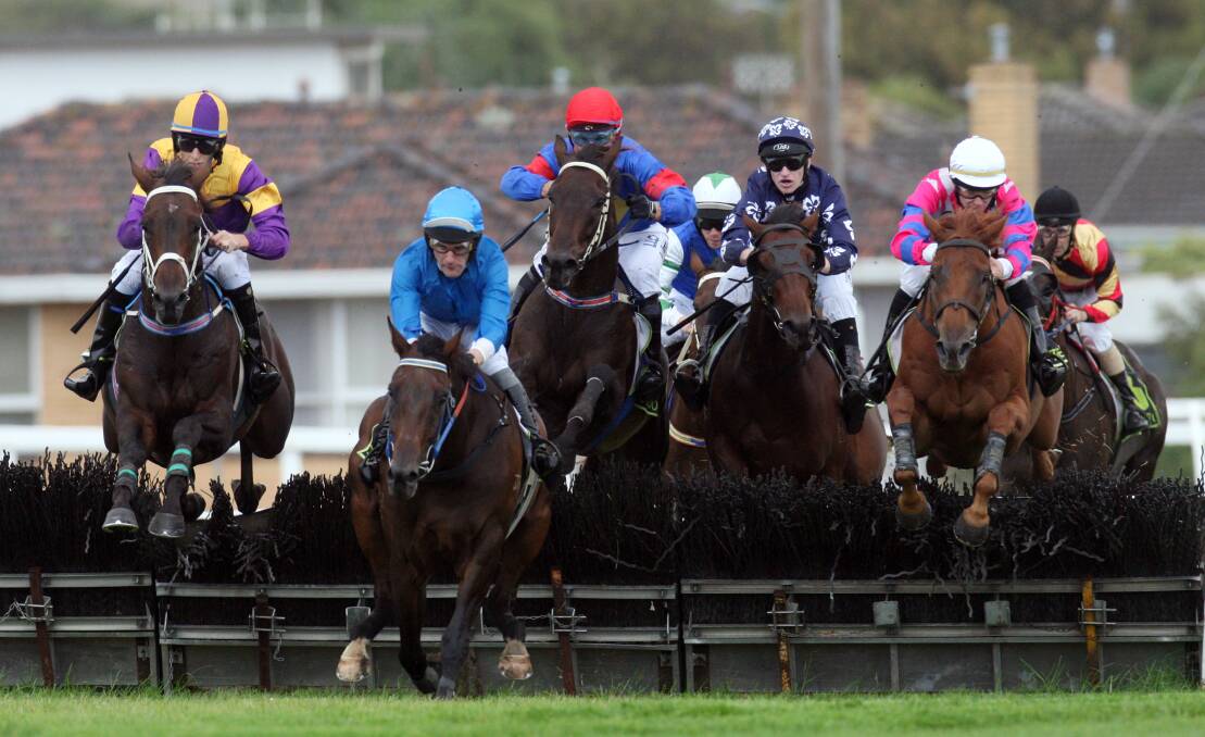 Royal Butler, ridden by Steven Pateman (in blue), lands awkwardly while leading over the final hurdle yesterday, ahead of eventual winner Chappell and second placegtter Divi Filius (left, Braidon Small).