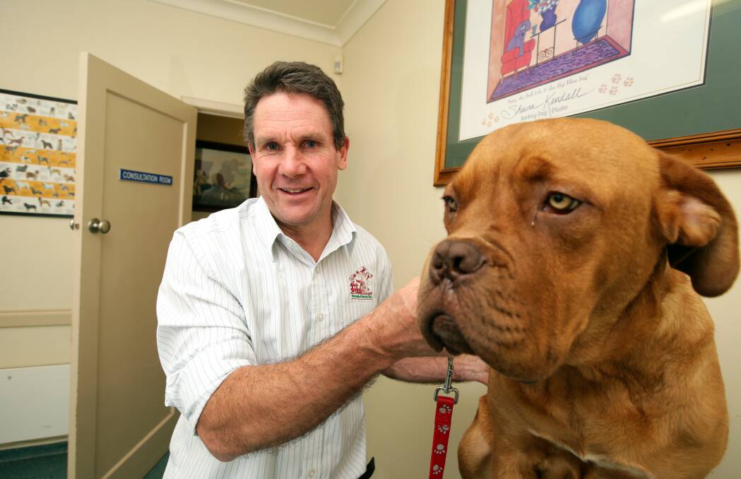 Dr Charlie Blackwood checks Hugo at the Port Fairy Veterinary Clinic following his return from northern India, where he undertook volunteer work with Vets Beyond Borders. 140708DW31 Picture: DAMIAN WHITE