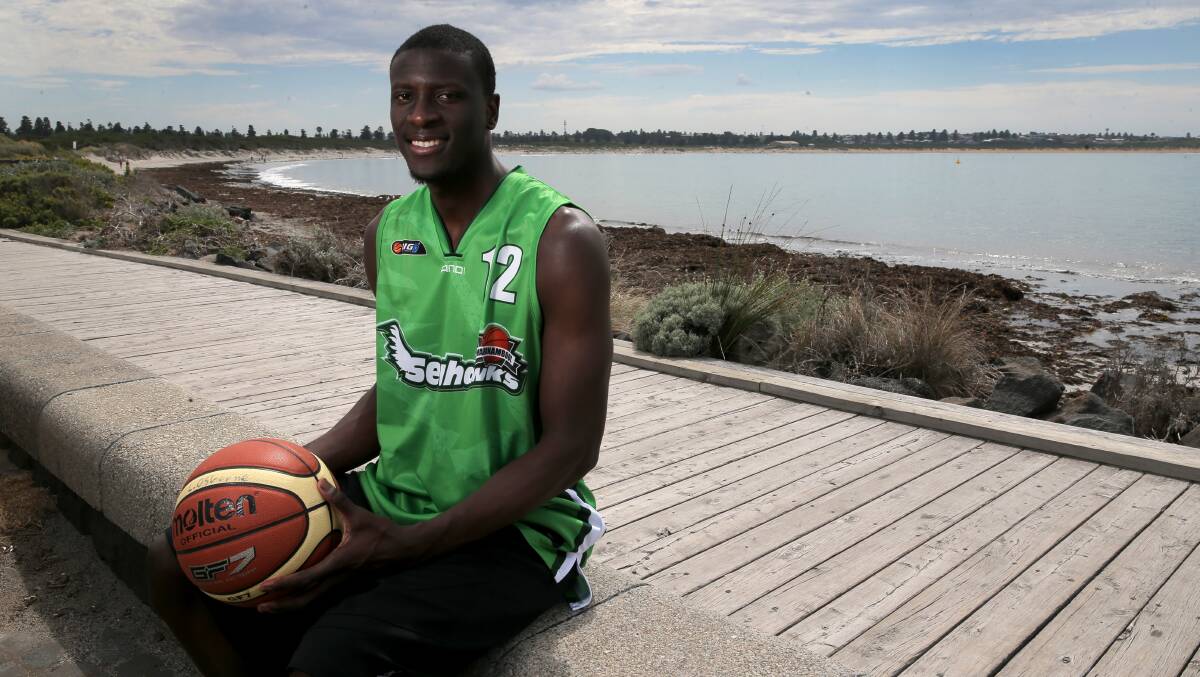 From Miami to Warrnambool, via Adelaide, Seahawks recruit Alex Starling loves his new beachside surrounds, as well as the city’s basketball environment. 150222RG02 Picture: ROB GUNSTONE