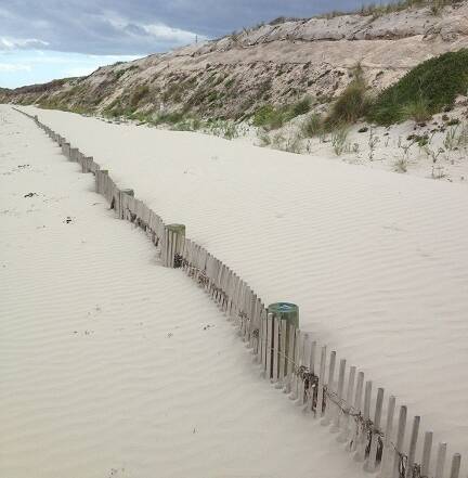 A build-up of sand covers one line of sand-trap fencing and almost covers the second at Port Fairy’s former night soil site at East Beach.