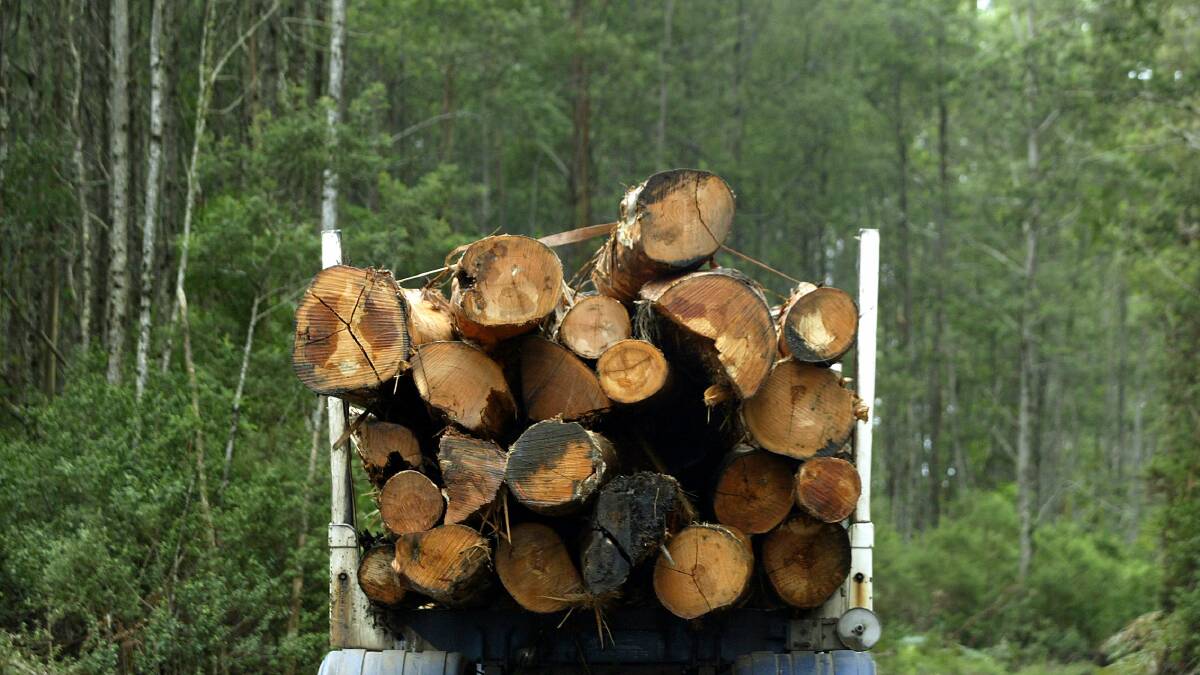 Stock image: A logging truck lost its load near Cobden early on Thursday morning.
