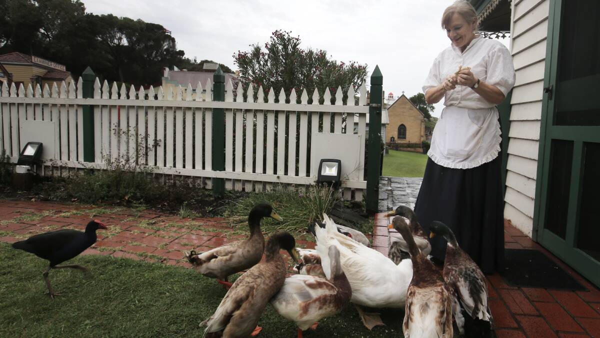 Sue Hair, supervisor at the Stella Maris Tea Rooms, feeds some of the ducks that reside at Flagstaff Hill. Picture: ROB GUNSTONE