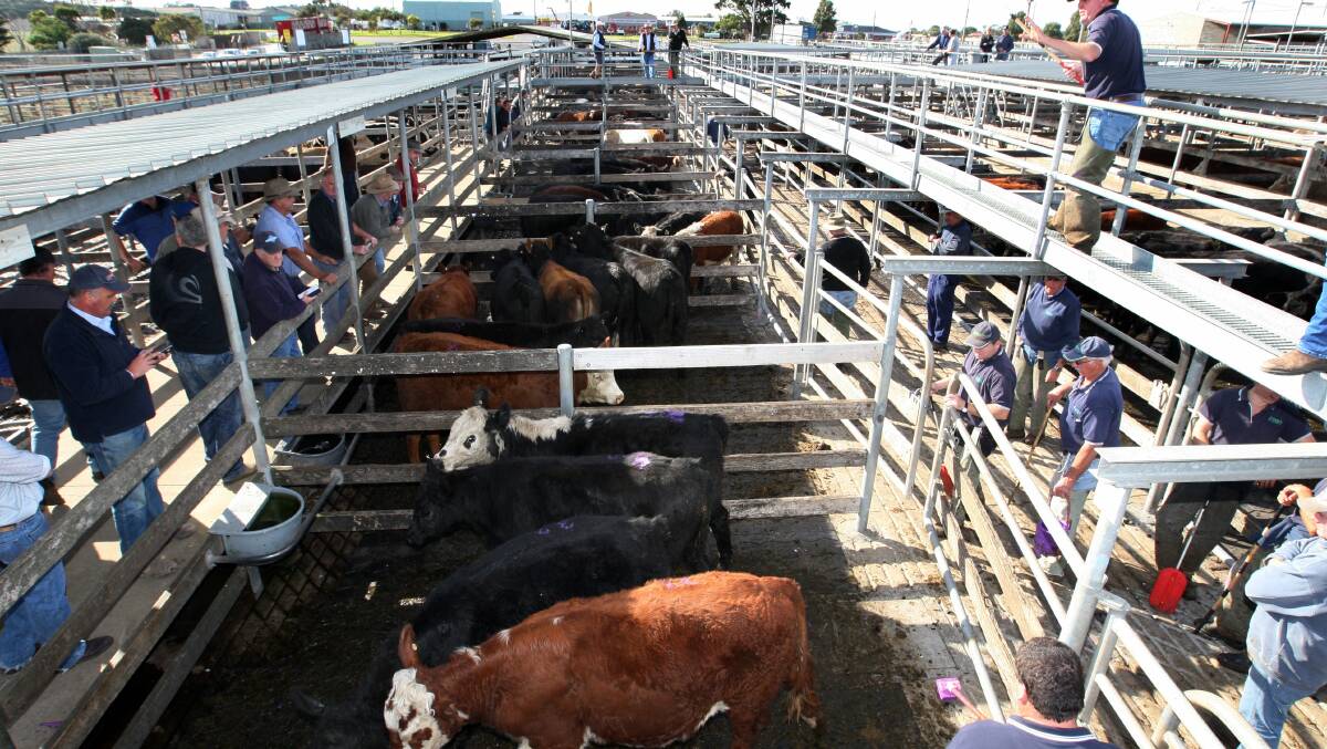 Stock agents want to take the future of the Warrnambool saleyards into their own hands and organise a meeting to address what they claim is widespread alarm in the farming and business communities.