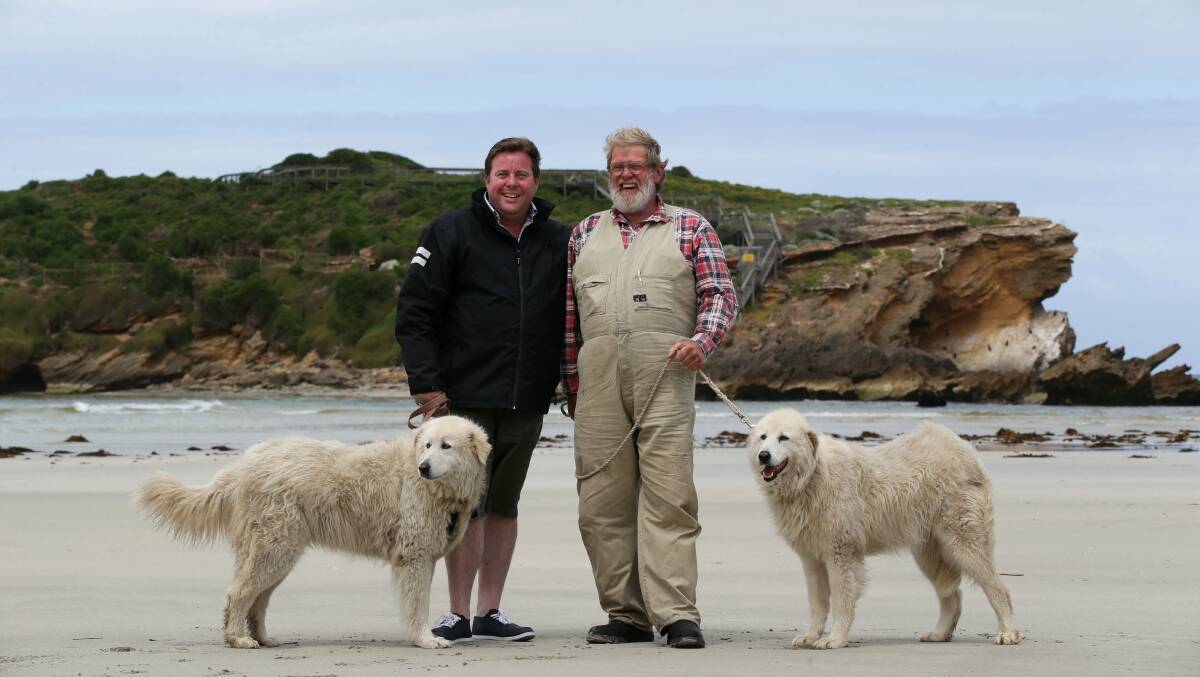 Actor Shane Jacobson and Allan 'Swampy' Marsh with two Maremma dogs near Middle Island.