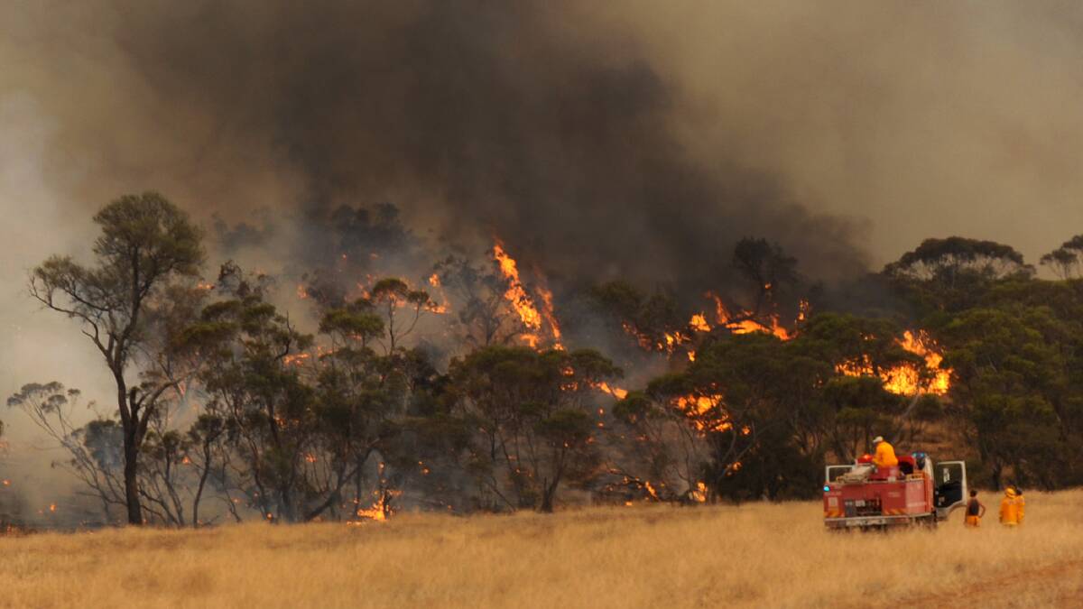 An environmental lobby group has estimated the Grampians bushfires in 2006 cost more than $585 million