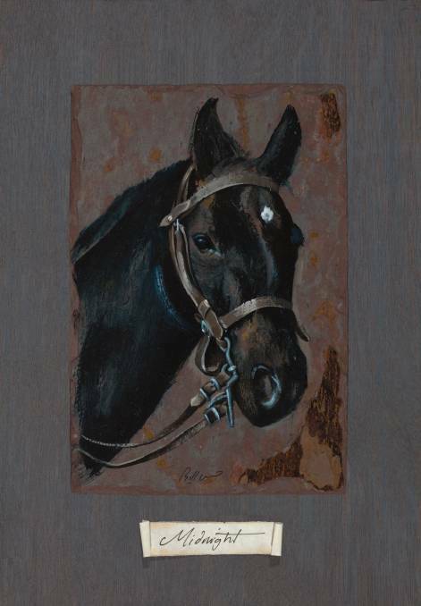 Mighty mare: A print of inspirational horse Midnight.