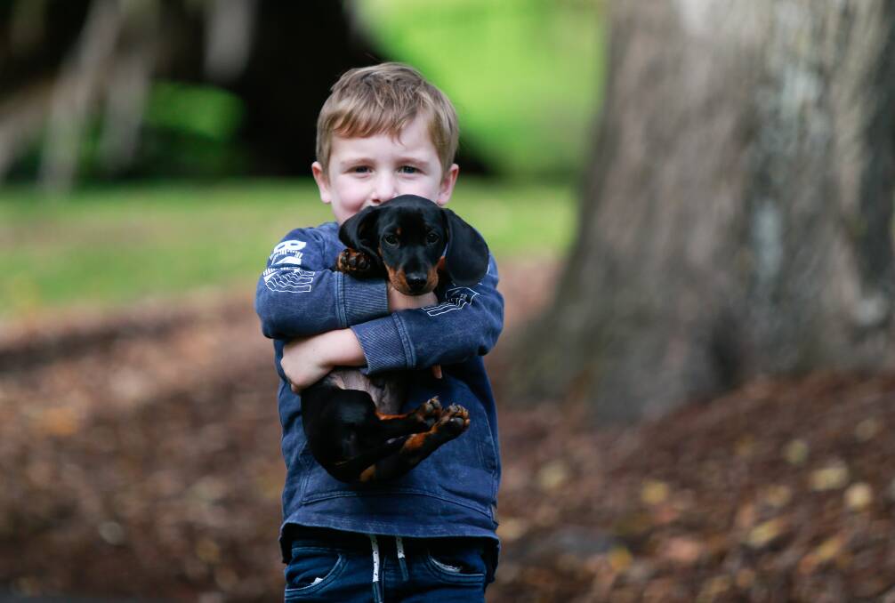 STAR in the making: Port Fairy's Bohdi Malseed and his new dachshund puppy are
excited about the Dachshund Dash. Picture: Anthony Brady.