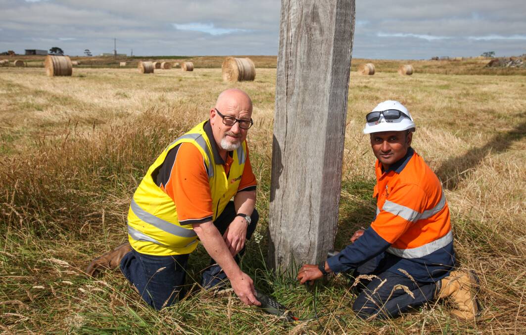 Checks: Groundline Engineering director Ian Flatley (left) and senior line engineer Dr Baraneedaran Sriskantharajah use the Thor pole testing system to examine a grey ironbark pole on the Porter's dairy farm. Picture: Rob Gunstone