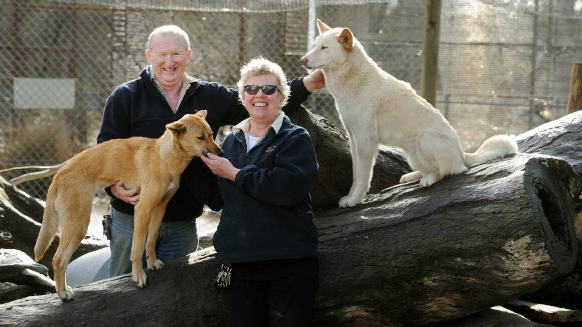 TOUGH decision: Halls Gap Zoo owners Greg and Yvonne Culell ... "You also don't need to be an expert to buy it - just someone with a bit of business acumen and that's it."