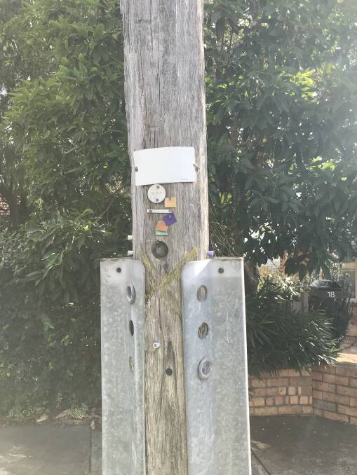 AGED: A double staked grey gum pole in Warrnambool's Wildwood Crescent is marked with a yellow cross, indicating it was marked as limited life by the SEC. Powercor took over from the SEC in 1994, 25 years ago. This pole was installed in 1939, the same year Hitler invaded Poland.