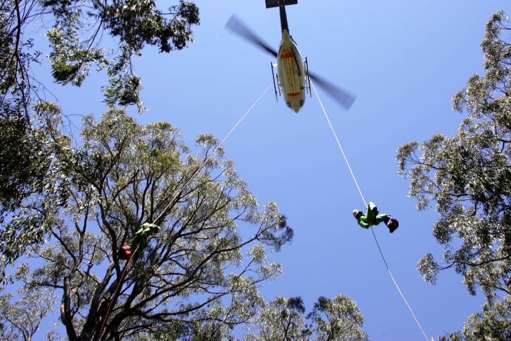 LINE of support: The CFA has welcomed a promise of extra funding - including a squad of "smokejumpers" - from federal Labor but say they wouldn't have been required in the St Patrick's Day fires. 