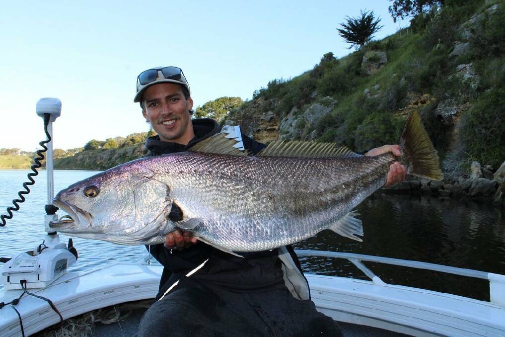 CATCH: Allistar Bourke landed a cracker 101cm mulloway on only 6lb leader while chasing bream and perch in the Hopkins River.