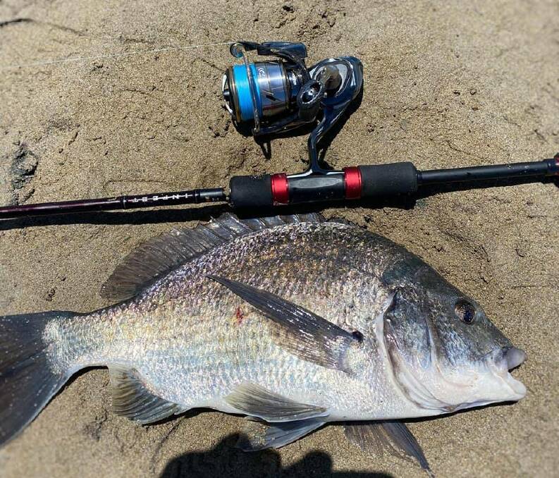 NICE ONE: A solid land-based bream caught by Shannon O'Brien out of the Hopkins River.