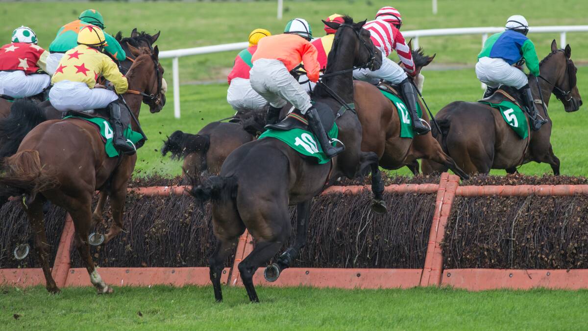 GAIN: Hamilton and Pakenham may benefit if a submission from the Australian Jumping Racing Association is adopted by Racing Victoria.