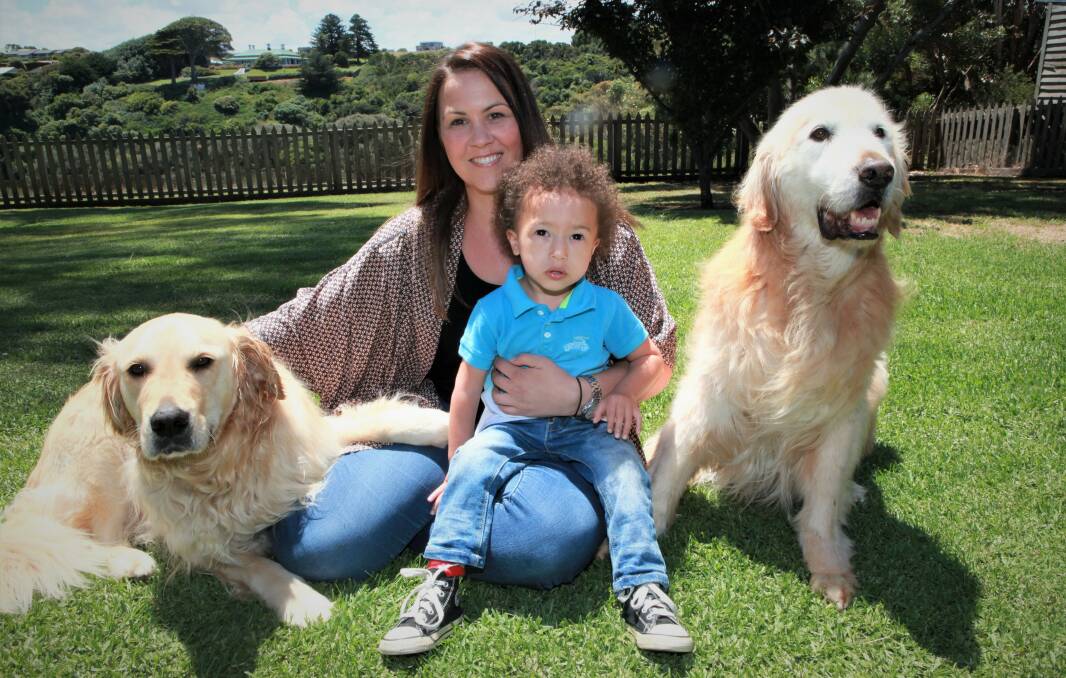 GOOD CAUSE: Julian Purcell with his mother Courtney and two of his cousin's dogs, Benny and Sam. The Purcell family is hoping to raise enough money to get Julian an assistant dog.  
