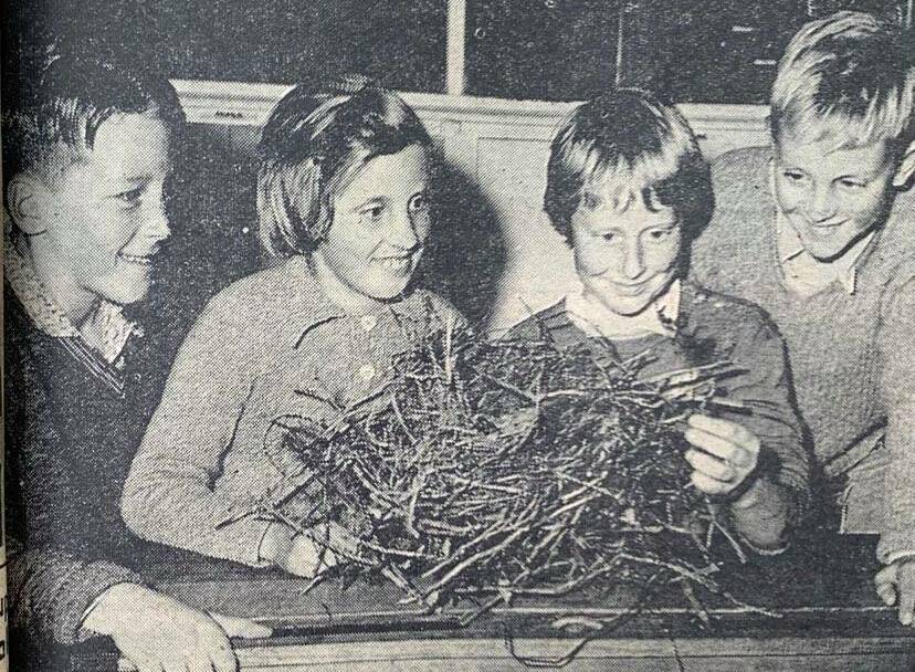 IN CLASS: Kirkstall State School students Gary Primmer, Lorraine Stokes, Wilma Durbridge and Ronald Stokes.
