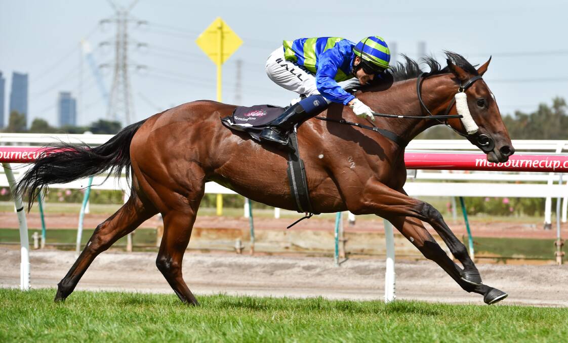 ON TRACK: Jameka is favourite for the $3.15 million Caulfield Cup which will be run over 2400 metres. Winslow's Ciaron Maher is the trainer. 