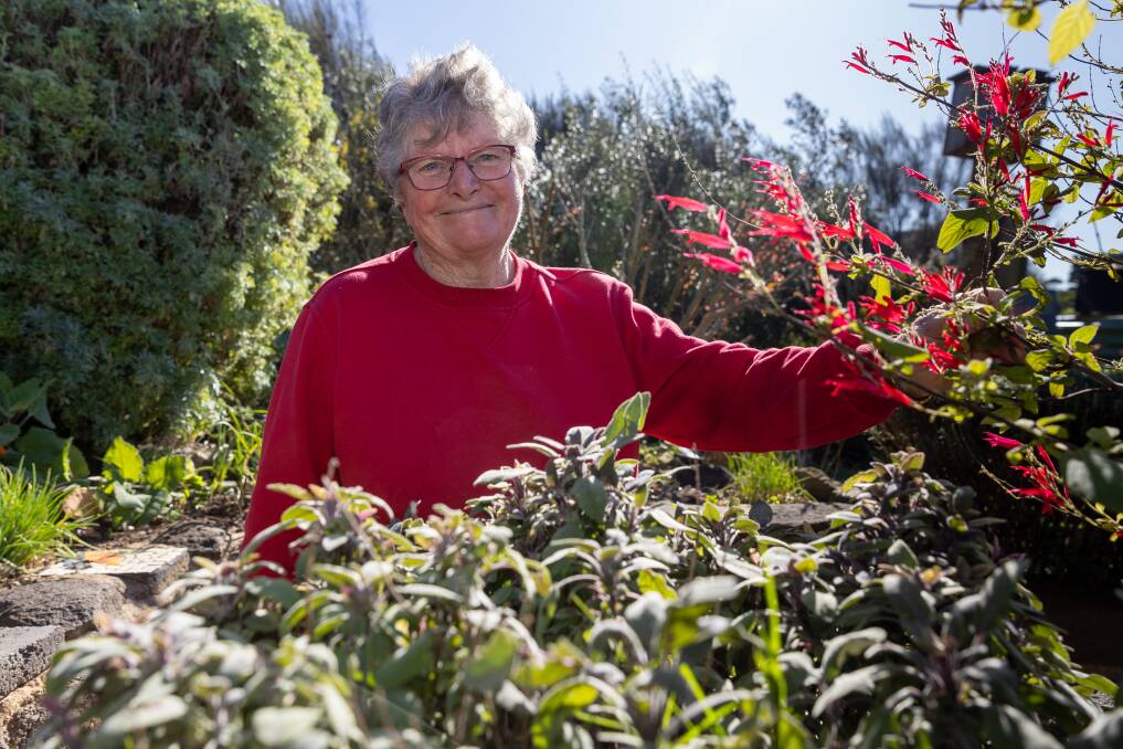 Heather Ryan shows off the herb section at the Warrnambool Community Garden. Picture by Eddie Guerrero