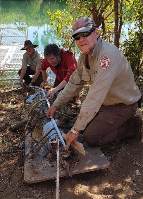Parks ranger Dylan Isles, Bruce Titheridge and ranger Chris Heydon with the croc. Photo: NT Parks and Wildlife.