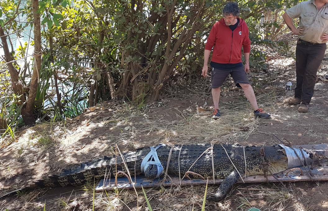 Koroit's Bruce Titheridge checks out the captured crocodile.