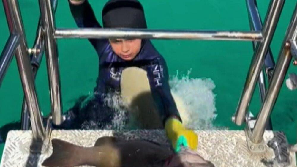 The moment an eight-year-old boy was attacked by a shark on the Great Barrier Reef was captured in a dramatic video. Picture by TikTok